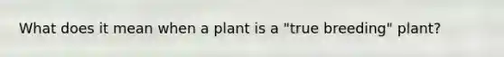 What does it mean when a plant is a "true breeding" plant?