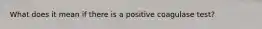 What does it mean if there is a positive coagulase test?