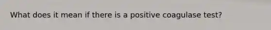 What does it mean if there is a positive coagulase test?