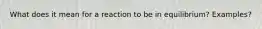 What does it mean for a reaction to be in equilibrium? Examples?