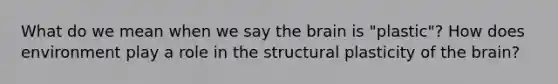 What do we mean when we say <a href='https://www.questionai.com/knowledge/kLMtJeqKp6-the-brain' class='anchor-knowledge'>the brain</a> is "plastic"? How does environment play a role in the structural plasticity of the brain?