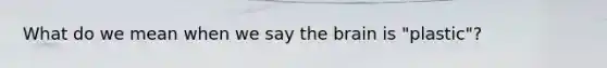 What do we mean when we say the brain is "plastic"?