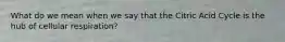 What do we mean when we say that the Citric Acid Cycle is the hub of cellular respiration?