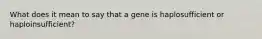 What does it mean to say that a gene is haplosufficient or haploinsufficient?