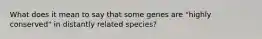 What does it mean to say that some genes are "highly conserved" in distantly related species?