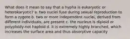 What does it mean to say that a hypha is eukaryotic or heterokaryotic? a. two nuclei fuse during sexual reproduction to form a zygote b. two or more independent nuclei, derived from different individuals, are present c. the nucleus is diploid or polyploidy-not haploid d. it is extremely highly branched, which increases the surface area and thus absorptive capacity