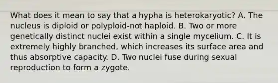 What does it mean to say that a hypha is heterokaryotic? A. The nucleus is diploid or polyploid-not haploid. B. Two or more genetically distinct nuclei exist within a single mycelium. C. It is extremely highly branched, which increases its surface area and thus absorptive capacity. D. Two nuclei fuse during sexual reproduction to form a zygote.