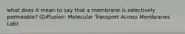 what does it mean to say that a membrane is selectively permeable? (Diffusion: Molecular Transport Across Membranes Lab)