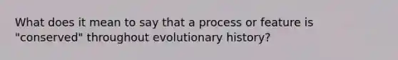 What does it mean to say that a process or feature is "conserved" throughout evolutionary history?