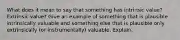 What does it mean to say that something has intrinsic value? Extrinsic value? Give an example of something that is plausible intrinsically valuable and something else that is plausible only extrinsically (or instrumentally) valuable. Explain.