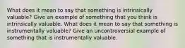 What does it mean to say that something is intrinsically valuable? Give an example of something that you think is intrinsically valuable. What does it mean to say that something is instrumentally valuable? Give an uncontroversial example of something that is instrumentally valuable.