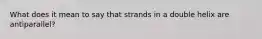 What does it mean to say that strands in a double helix are antiparallel?