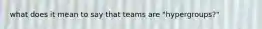 what does it mean to say that teams are "hypergroups?"