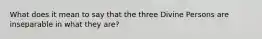 What does it mean to say that the three Divine Persons are inseparable in what they are?