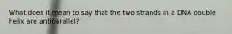 What does it mean to say that the two strands in a DNA double helix are antiparallel?