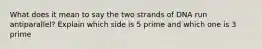 What does it mean to say the two strands of DNA run antiparallel? Explain which side is 5 prime and which one is 3 prime