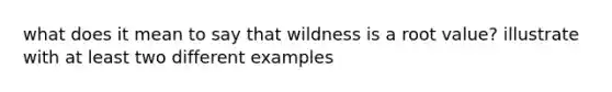 what does it mean to say that wildness is a root value? illustrate with at least two different examples