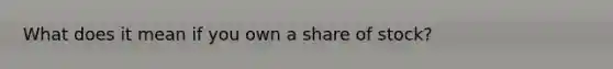 What does it mean if you own a share of stock?