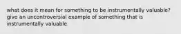 what does it mean for something to be instrumentally valuable? give an uncontroversial example of something that is instrumentally valuable