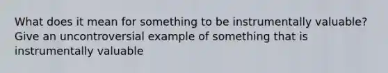 What does it mean for something to be instrumentally valuable? Give an uncontroversial example of something that is instrumentally valuable