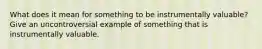 What does it mean for something to be instrumentally valuable? Give an uncontroversial example of something that is instrumentally valuable.