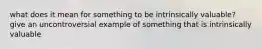 what does it mean for something to be intrinsically valuable? give an uncontroversial example of something that is intrinsically valuable