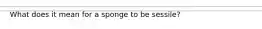 What does it mean for a sponge to be sessile?