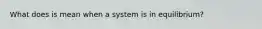 What does is mean when a system is in equilibrium?