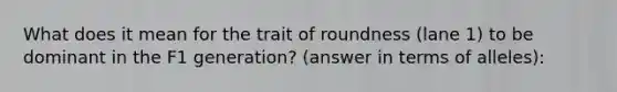 What does it mean for the trait of roundness (lane 1) to be dominant in the F1 generation? (answer in terms of alleles):