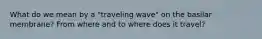 What do we mean by a "traveling wave" on the basilar membrane? From where and to where does it travel?