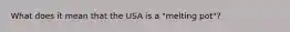 What does it mean that the USA is a "melting pot"?