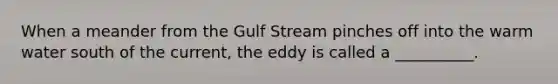 When a meander from the Gulf Stream pinches off into the warm water south of the current, the eddy is called a __________.