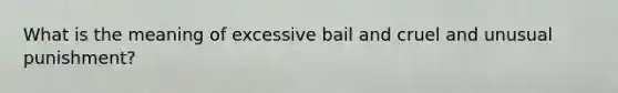 What is the meaning of excessive bail and cruel and unusual punishment?