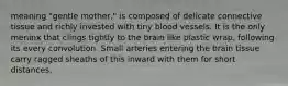 meaning "gentle mother," is composed of delicate connective tissue and richly invested with tiny blood vessels. It is the only meninx that clings tightly to the brain like plastic wrap, following its every convolution. Small arteries entering the brain tissue carry ragged sheaths of this inward with them for short distances.