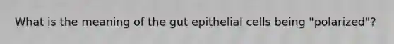 What is the meaning of the gut epithelial cells being "polarized"?