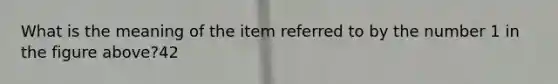 What is the meaning of the item referred to by the number 1 in the figure above?42