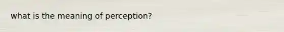 what is the meaning of perception?