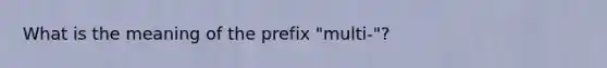 What is the meaning of the prefix "multi-"?