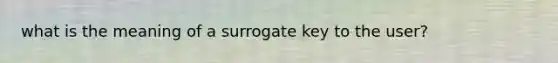 what is the meaning of a surrogate key to the user?