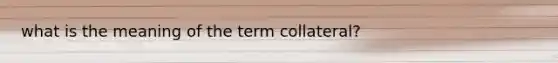 what is the meaning of the term collateral?