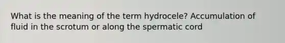 What is the meaning of the term hydrocele? Accumulation of fluid in the scrotum or along the spermatic cord