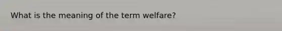 What is the meaning of the term welfare?