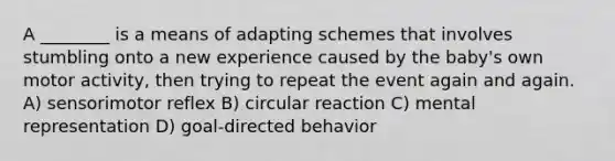 A ________ is a means of adapting schemes that involves stumbling onto a new experience caused by the baby's own motor activity, then trying to repeat the event again and again. A) sensorimotor reflex B) circular reaction C) mental representation D) goal-directed behavior