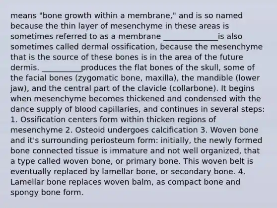 means "bone growth within a membrane," and is so named because the thin layer of mesenchyme in these areas is sometimes referred to as a membrane ______________is also sometimes called dermal ossification, because the mesenchyme that is the source of these bones is in the area of the future dermis. __________produces the flat bones of the skull, some of the facial bones (zygomatic bone, maxilla), the mandible (lower jaw), and the central part of the clavicle (collarbone). It begins when mesenchyme becomes thickened and condensed with the dance supply of blood capillaries, and continues in several steps: 1. Ossification centers form within thicken regions of mesenchyme 2. Osteoid undergoes calcification 3. Woven bone and it's surrounding periosteum form: initially, the newly formed bone connected tissue is immature and not well organized, that a type called woven bone, or primary bone. This woven belt is eventually replaced by lamellar bone, or secondary bone. 4. Lamellar bone replaces woven balm, as compact bone and spongy bone form.