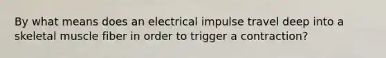 By what means does an electrical impulse travel deep into a skeletal muscle fiber in order to trigger a contraction?