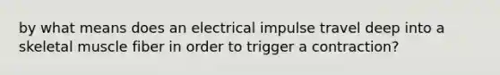 by what means does an electrical impulse travel deep into a skeletal muscle fiber in order to trigger a contraction?