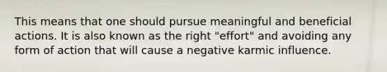 This means that one should pursue meaningful and beneficial actions. It is also known as the right "effort" and avoiding any form of action that will cause a negative karmic influence.