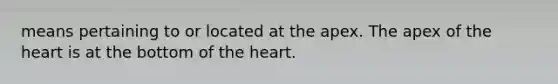 means pertaining to or located at the apex. The apex of the heart is at the bottom of the heart.