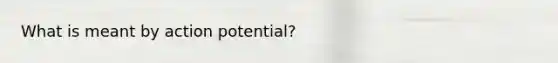 What is meant by action potential?