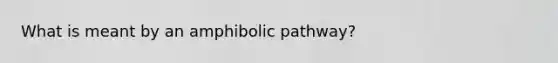 What is meant by an amphibolic pathway?